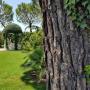 Giardini Esterni - Ricevimenti Garden