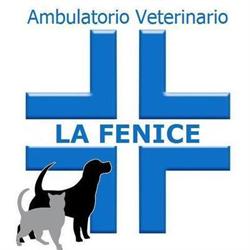 Ambulatorio Veterinario La Fenice