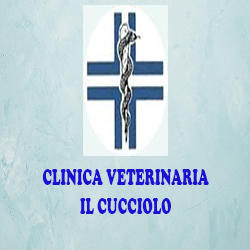 Clinica Veterinaria Il Cucciolo