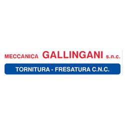 Meccanica Gallingani