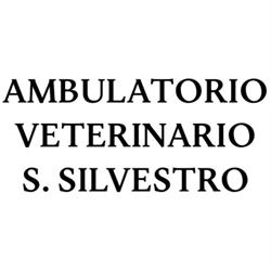 Ambulatorio Veterinario S. Silvestro