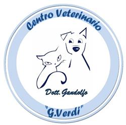 Centro Veterinario Giuseppe Verdi Di Gandolfo Dottor Emanuele