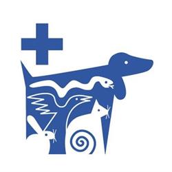 ambulatorio veterinario