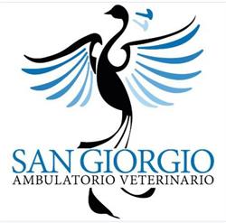 Ambulatorio Veterinario San Giorgio