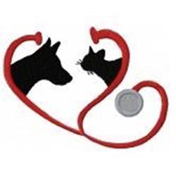 Ambulatorio Veterinario San Vito - Venturini dr. Claudio