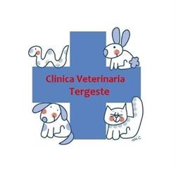 Clinica Veterinaria Tergeste