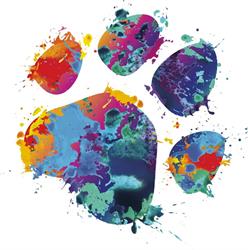 Clinica Veterinaria Nerviano SRL