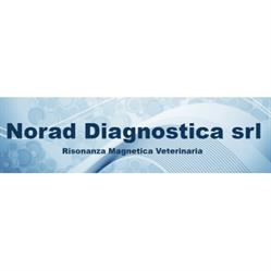 Norad - Centro Neurologico Veterinario - Risonanza Magnetica