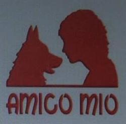 Amico Mio Di Deflorian Morena & C. SNC