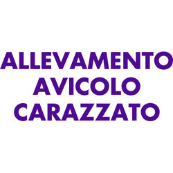 Carazzato Roberta e Rita S.S.