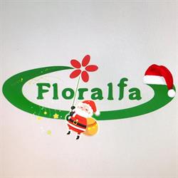 Floralfa S.A.S. Di Fabio Allaria & C.