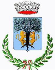 Comune Di Amorosi