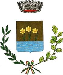 Comune Di Giungano - Centralino