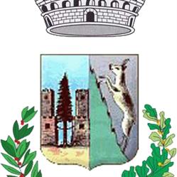 Comune di Santo Stefano di Cadore / Sa Stefi