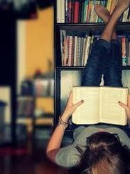 Comune Di Dubino Biblioteca