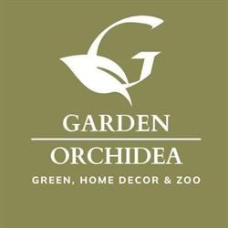 Garden Orchidea