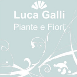 Fiorista Galli Luca