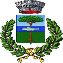 Comune Di Cossongo