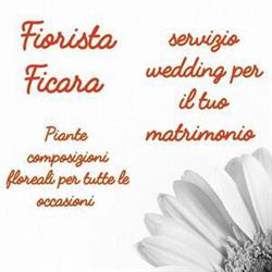 Fiorista Ficara