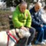 Centro Diurno per Disabili