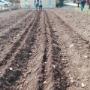 Agricoltura Sociale