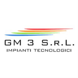 GM 3