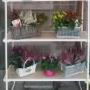 Negozio di Fiori