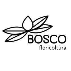 Floricoltura Bosco Isola Della Scala
