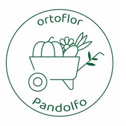 Azienda Agricola Ortoflor Pandolfo