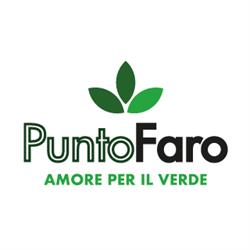 Punto Faro