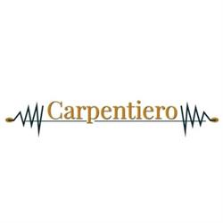 Carpentiero Materiale Elettrico