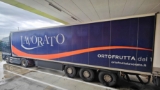 Export