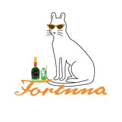 F. o. r. T. U. N. A. - SRL