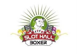Il Boxer