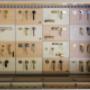 Gallery Professionale