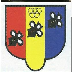 Polisportiva Progresso A.S.D multisport