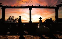 Villa Monte D'oro Eventi SRL
