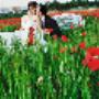 Servizi Fotografici per Matrimoni