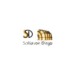 Schiavon Diego