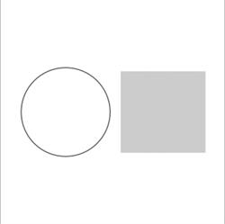 Ottica Cine Foto Grilli