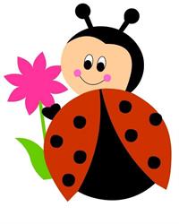 La Coccinella Di Battistini Maurizio Edicola Cartoleria