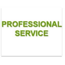 Professional Service