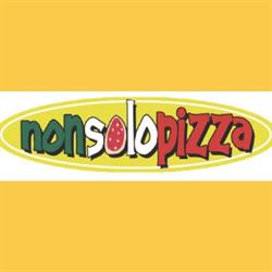 Non Solo Pizza Di Apicella Alicia