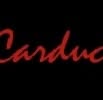 Istituto Di Istruzione G.carducci