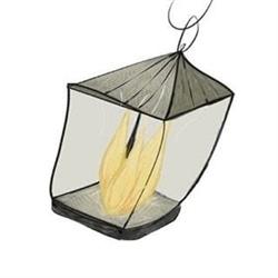 La Lanterna Di Diogene Scarl