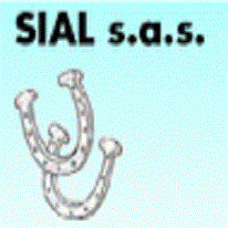 Sial Sas