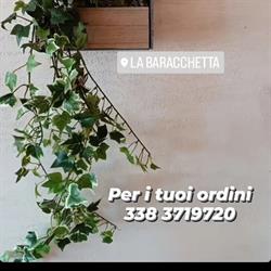 Bar Trattoria Baracchetta