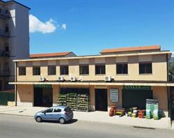 Dalia SRL