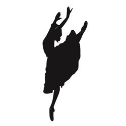 Studio Harmonic A. S. d.