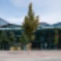 Azienda